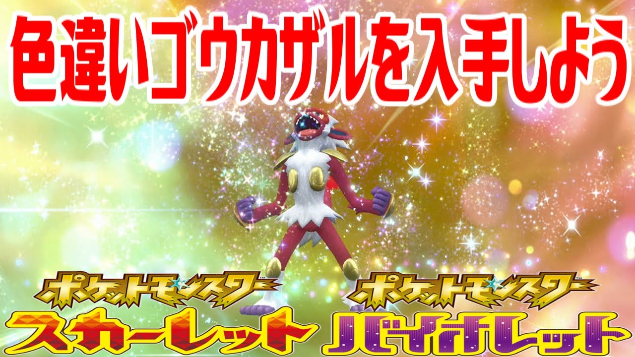 【ポケモンSV】色違いゴウカザルを入手しよう 進化入手【ポケットモンスター スカーレット・バイオレット ゼロの秘宝 藍の円盤】Pocket Monsters