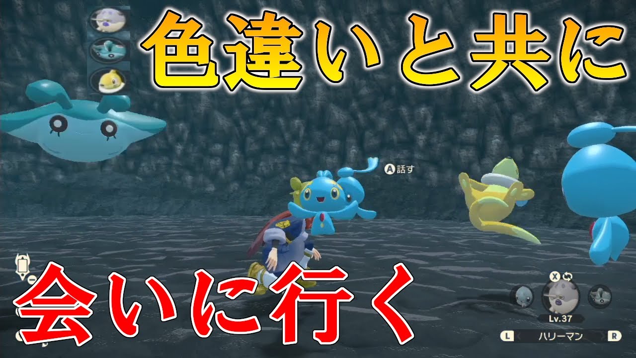 マナフィ出現条件のポケモン達の色違いを引き連れてマナフィに会いに行く！！【Pokémon LEGENDS アルセウス】