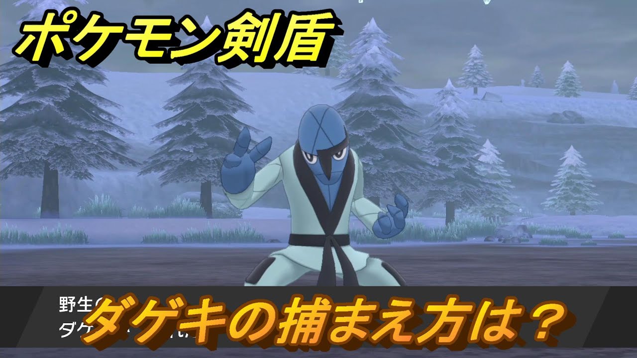ポケモン剣盾　ダゲキの出現場所は？オススメの場所は？天気は？ポケモン図鑑コンプへの道！　最新版【ポケモンソード・シールド】