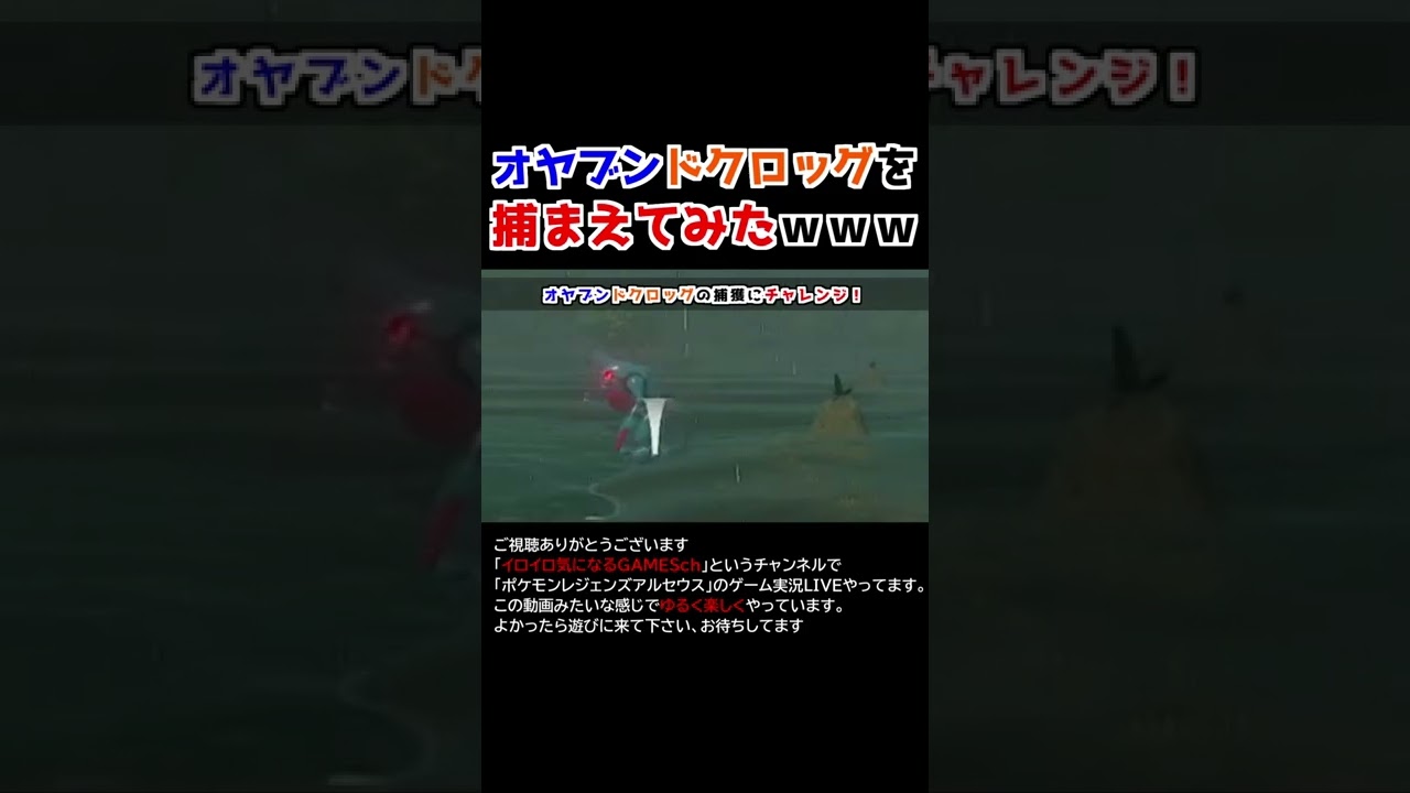 オヤブンドクロッグを捕獲する！【Pokémon LEGENDS アルセウス】