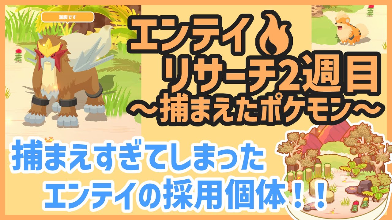 【ポケモンスリープ】エンテイリサーチ2週目＆捕まえすぎてしまったエンテイの採用個体！！【#PokémonSleep】