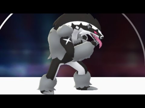 ジグザグマ → タチフサグマ 進化！！