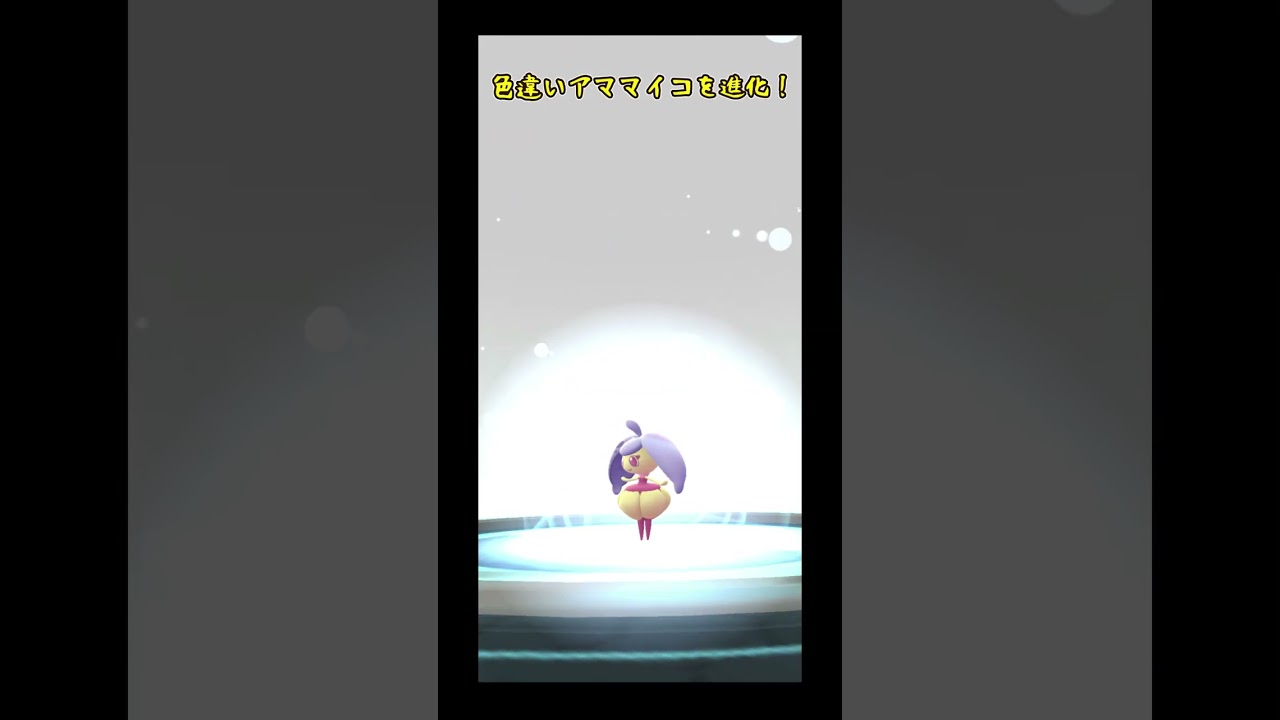 ★ポケモンGO★色違いアマカジの進化★アママイコ★アマージョ #ポケモンgo