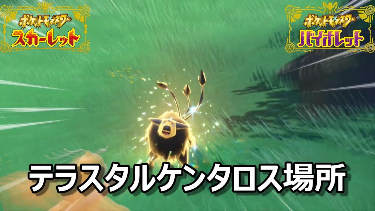 【ポケモンSV】テラスタルケンタロス場所　野生テラスタル＃１８【スカーレット・バイオレット】