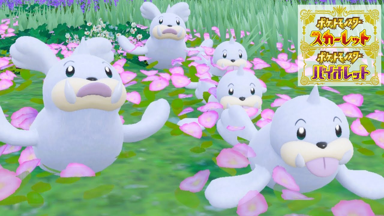 パウワウ６匹に囲まれて癒されピクニック【ポケモンSV】