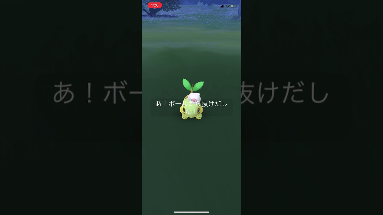 ナエトル君にきめた！#pokemon