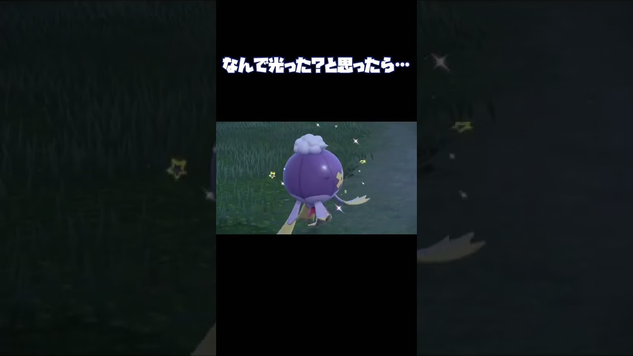 メタモン色違いは脳がバグる#ポケモンSV#かたわらにショコラ#スカーレットバイオレット