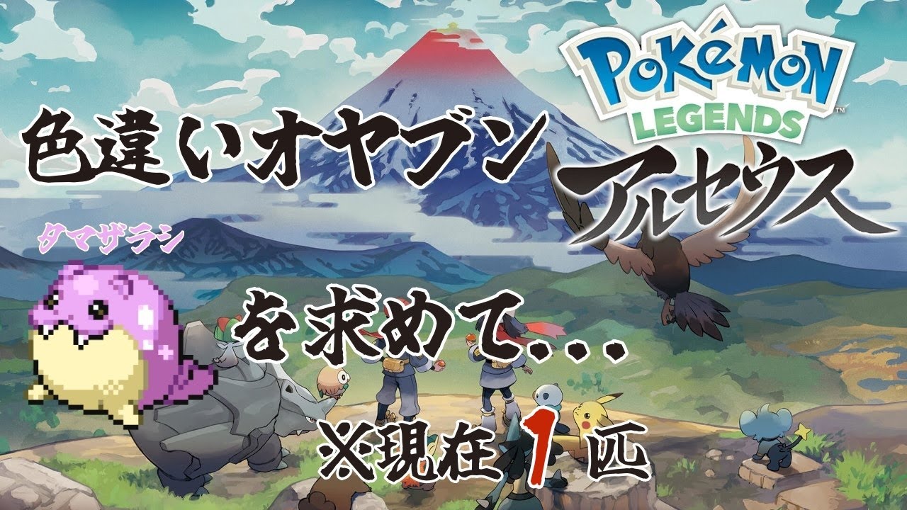【ポケモン アルセウス】色違いオヤブンタマザラシを探す旅