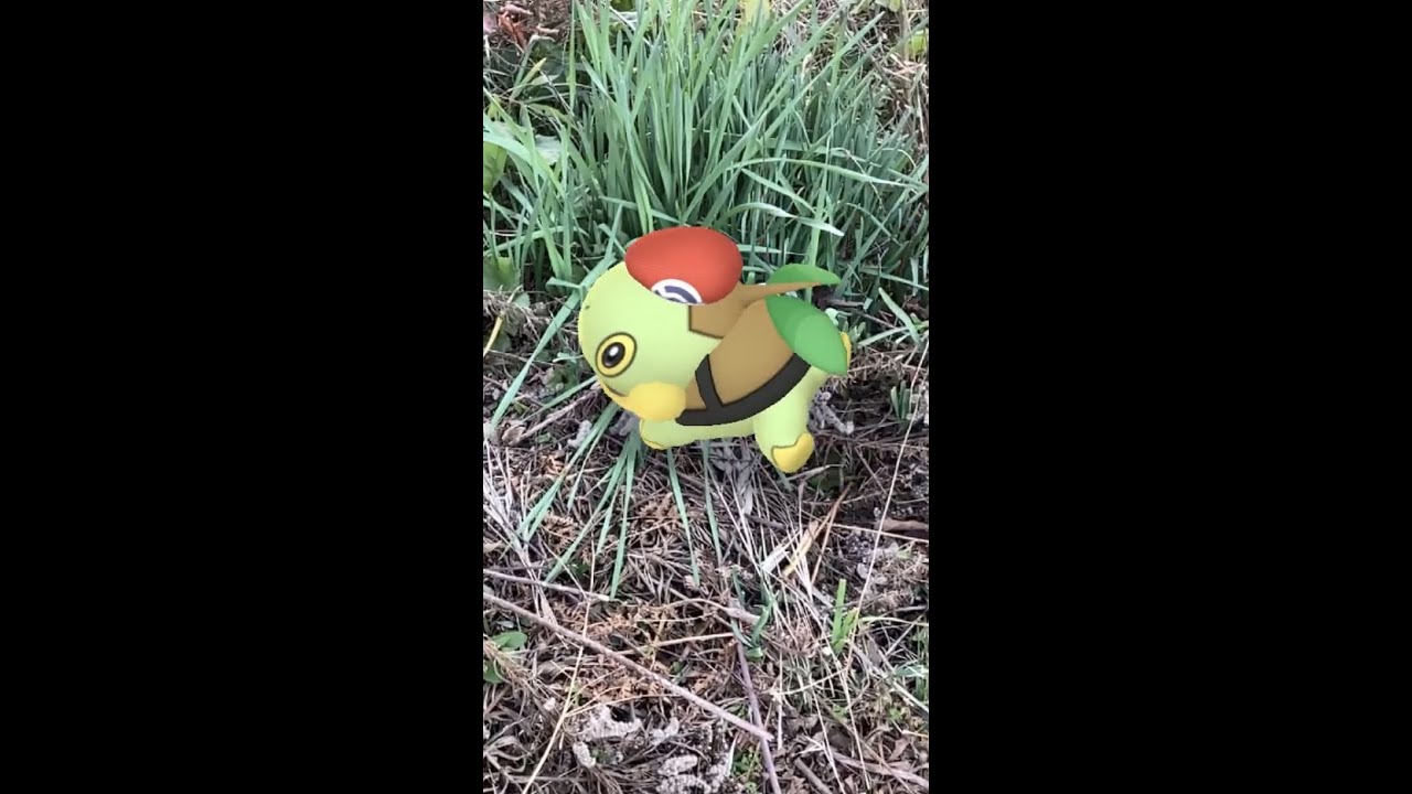 ナエトル（コウキ帽子）｜Turtwig｜金盞香（きんせんかさく）【ポケモンGO】｜AR動画｜PoKeMoN GO AR｜#Shorts