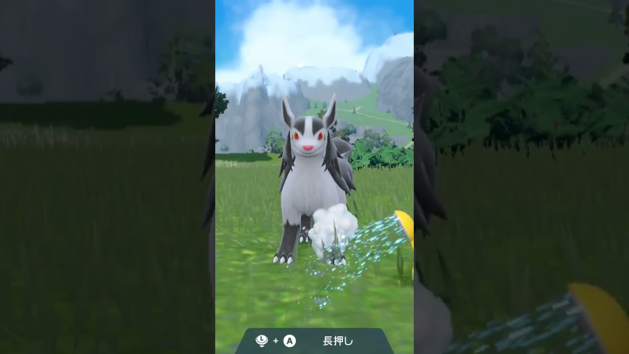 グラエナ Mightyena【ポケモンsv】