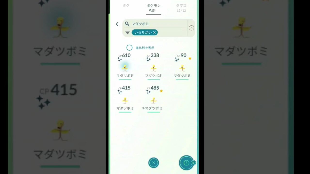 マダツボミコミュニティデイ#ポケモンgo #コミュニティデイ #シンデレラボーイ