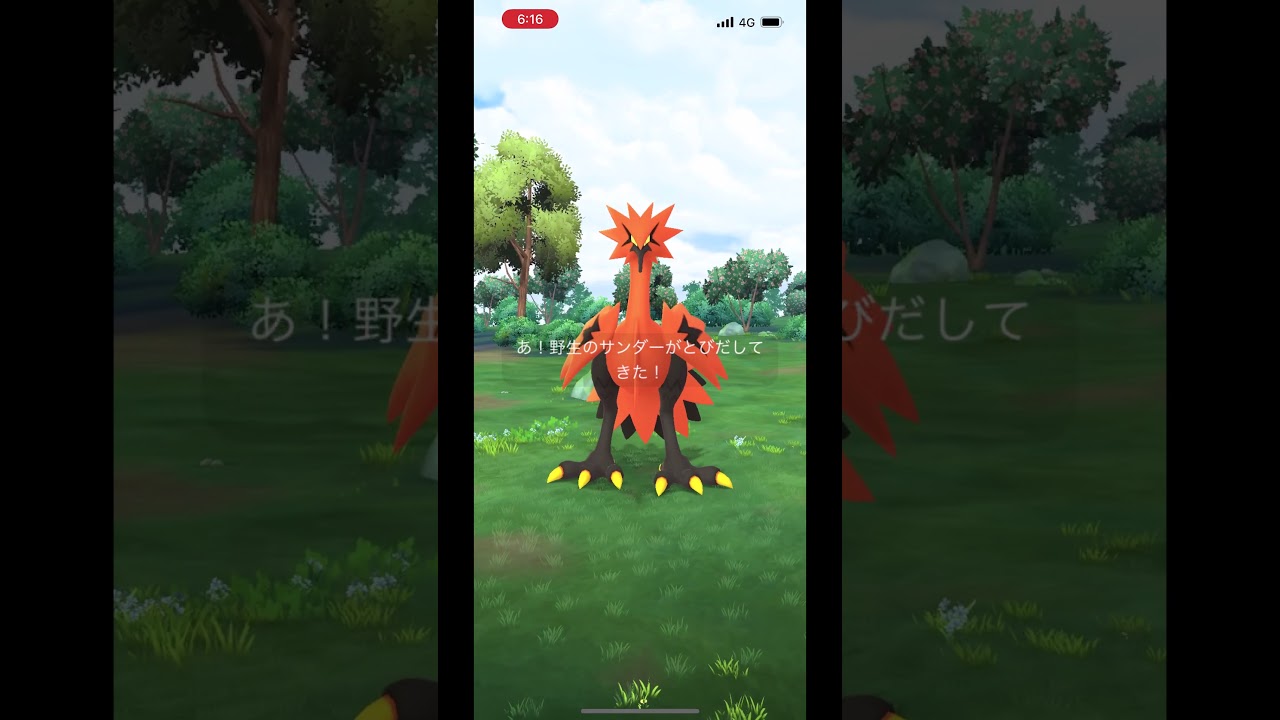 ガラルサンダー２回目の遭遇！エクセレントでゲット！？【おさんぽおこう】【ガラル三鳥】#shorts #ポケモンgo #ガラルサンダー