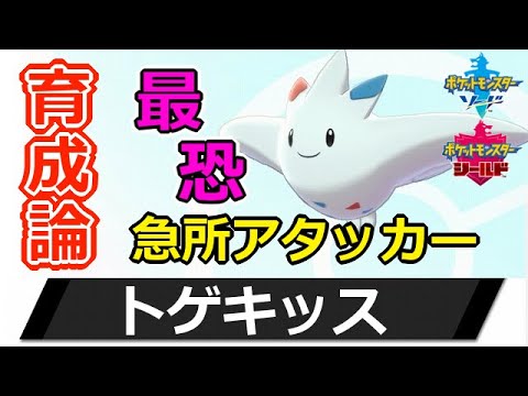 【ポケモン剣盾】≪鬼強≫特殊エース欲しいなら取り敢えずトゲキッス作っとけ！【ポケモンソードシールド】