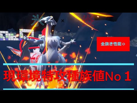 全抜き性能◎『スカーフホワイトキュレム』で一網打尽【ポケモンSV】