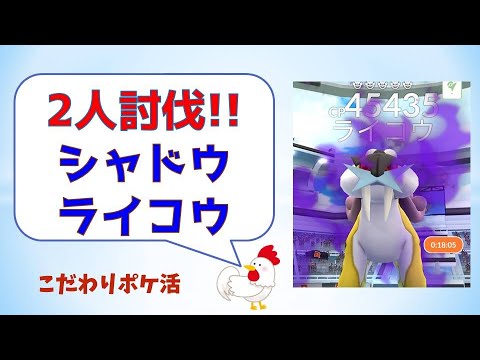 【絶好調！2人討伐、シャドウライコウ】 #ポケモンgo #pokemongo #レイドバトル #攻略 #ライコウ #メガシンカ