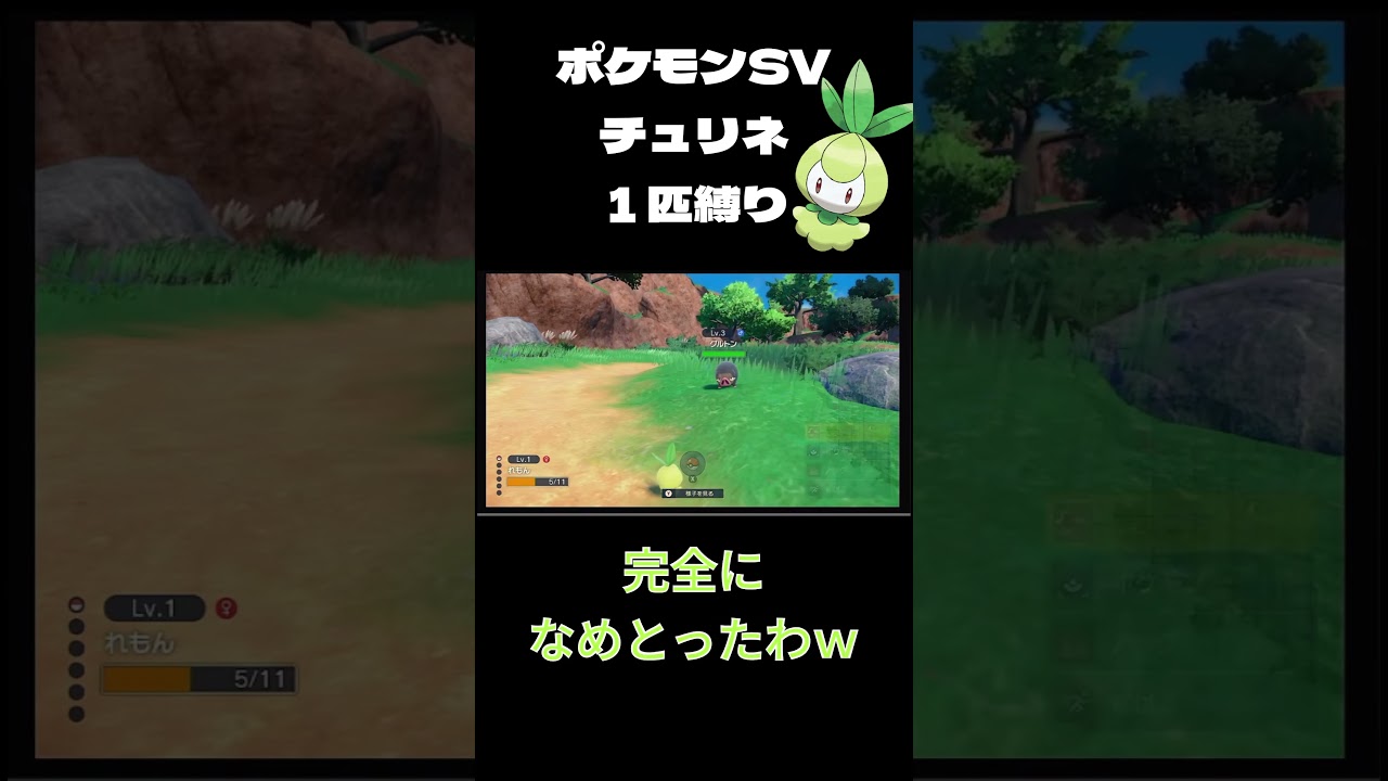 【色チュリネ1匹縛り】初戦闘 #shorts #ポケモンsv