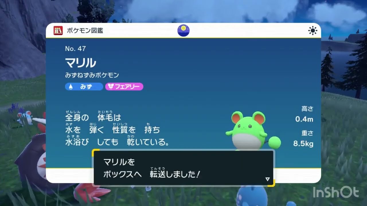マリルちゃんの色違い発見！✨マリルリちゃんに進化したら素敵な色になった🐰💕　ポケモンSV PokemonSV