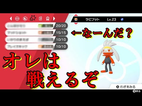 ゴウ聞け、ラビフットは、、、戦えるぞ！！【ポケモン剣盾】