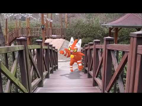 냐오히트 ( Torracat ) ニャヒート ( 炎熱喵 )  (16:9)