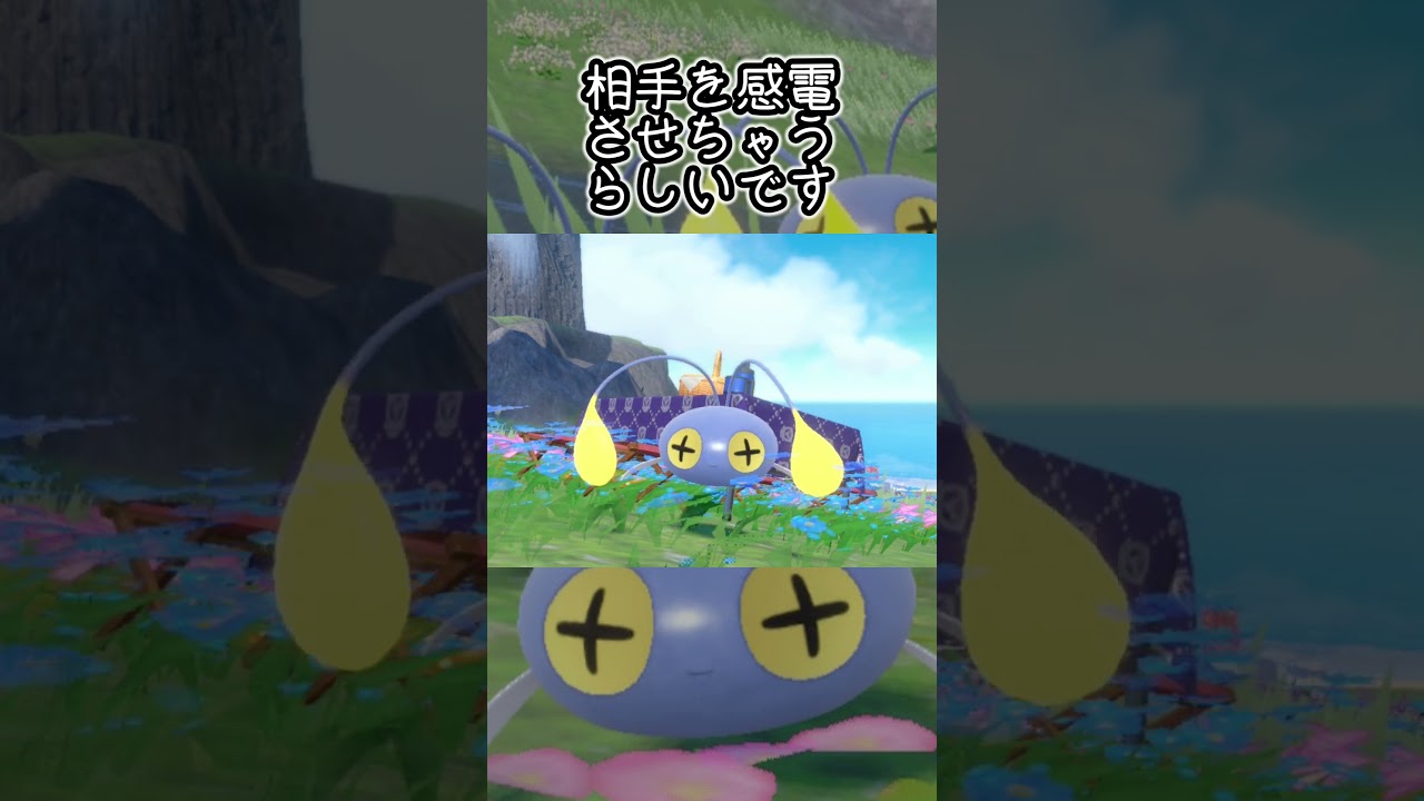 チョンチー6匹とピクニック【ポケモンSV】#Shorts