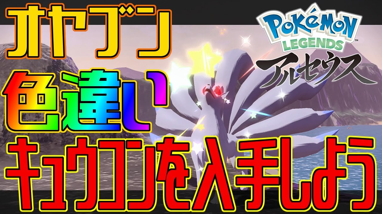【ポケモンアルセウス】オヤブンの色違いキュウコンを入手しよう【Pokémon LEGENDS アルセウス】
