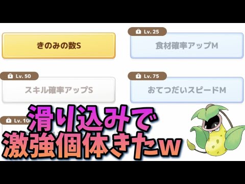 【ポケスリ】最後の最後に神個体キター⁉【ポケモンスリープ】【POKEMON】