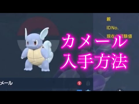 【ポケモンSV】【藍の円盤】カメール入手方法