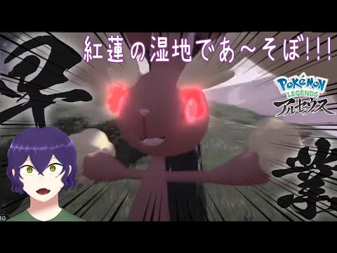 紅蓮の湿地で遊ぼ～ね！【ポケモンアルセウス #4】