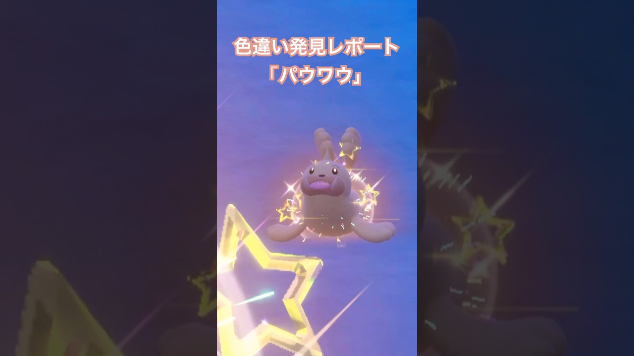 ポケモンSV 色違い発見レポート「パウワウ」 #ポケモンsv色違い #色違いポケモン