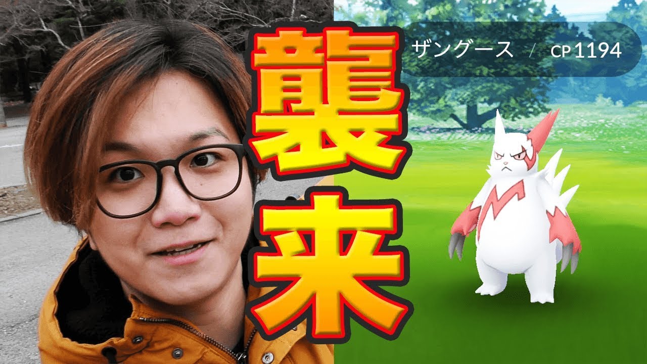 ザングース日本にキタァァー!!強いの?ゲットしつつ強さ解説♪【ポケモンGO】