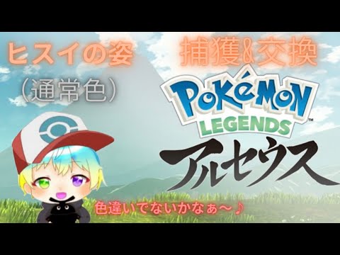 【＃ポケモン】今日こそはヒスイの姿の色違いゲットするぞ！！