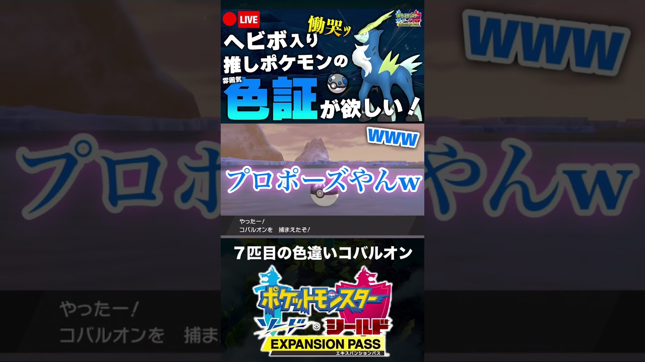 ７匹目の色違いコバルオンと邂逅した男【ポケモン剣盾】 #shorts
