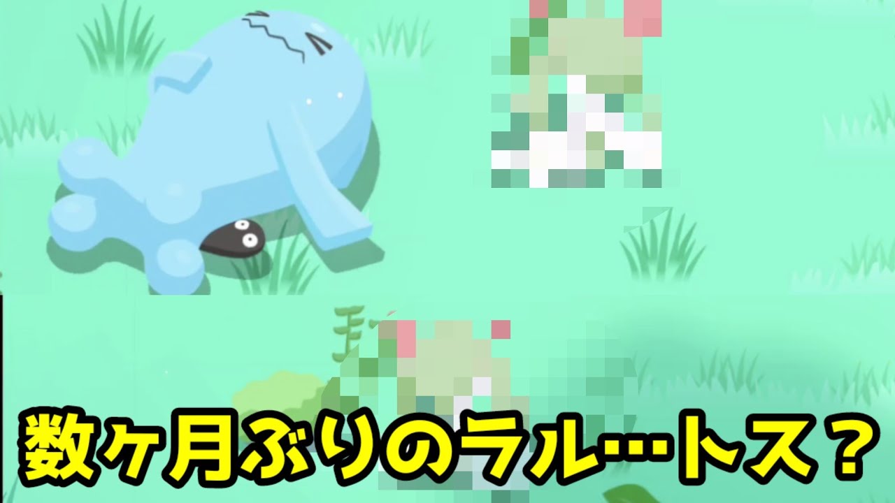 【ポケスリ】久しぶりにすやすや取れてラルトスが…？【ポケモンスリープ】【POKEMON】