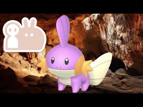 【色違い181匹～】最大サイズ色ミズゴロウ厳選【ポケモンSV】