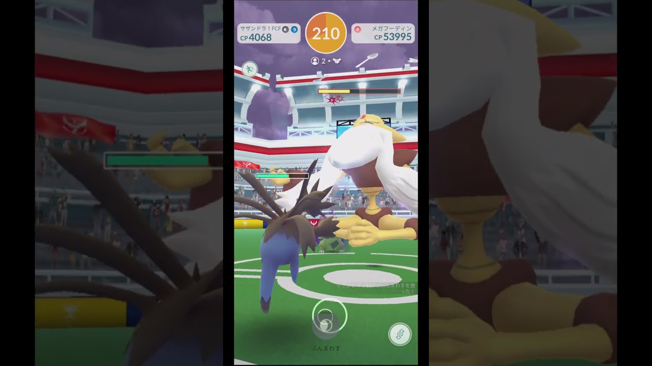 ☆４メガフーディン（２人）