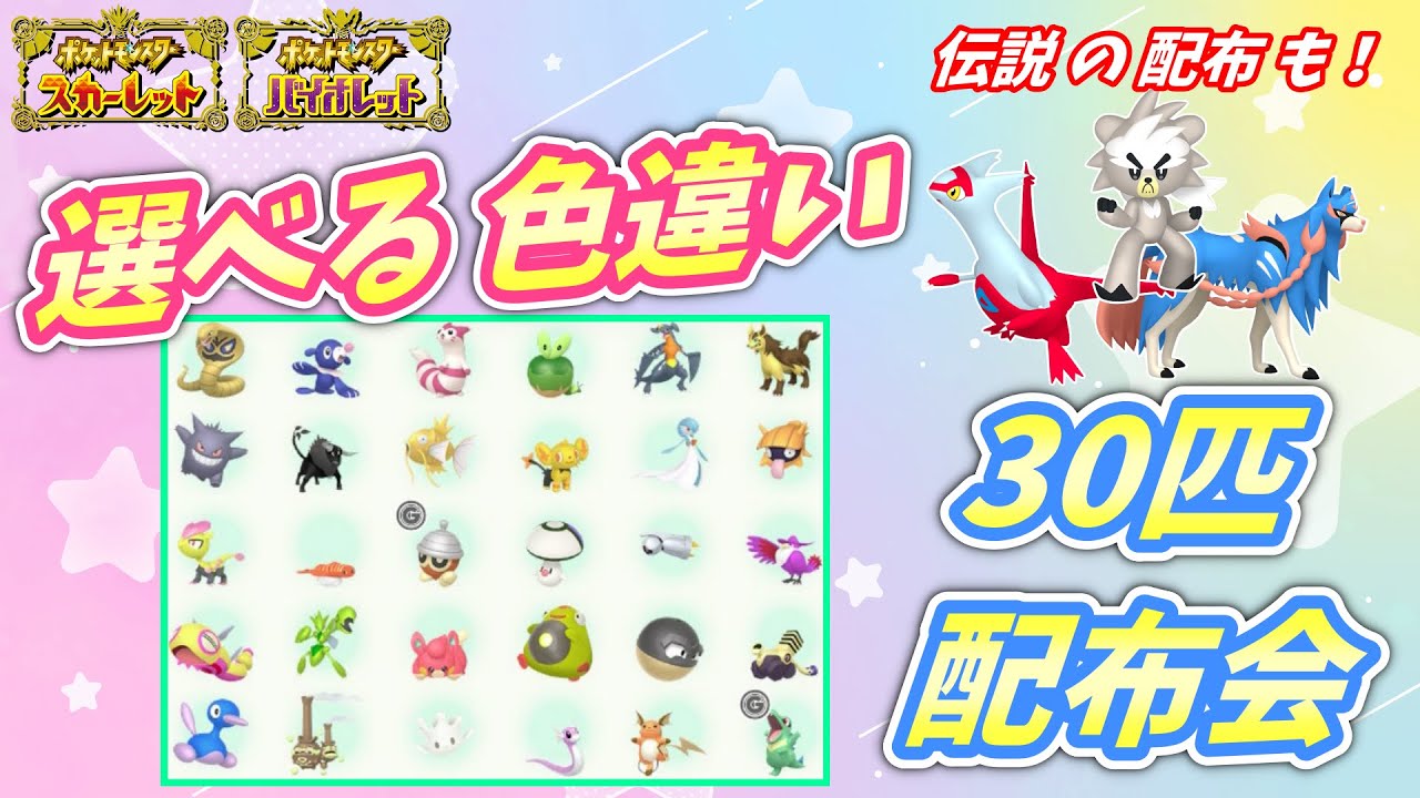 リスナー産！選べる色違い30匹 配布会！ザシアンなど伝説配布も！【ポケモンSV】