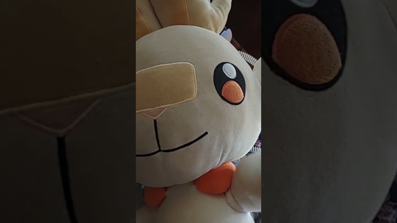 三年間でうちのヒバニーはずいぶん垢抜けました