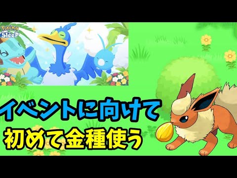 【ポケスリ】初めて使う金種はこの子で決定だ！【ポケモンスリープ】【POKEMON】