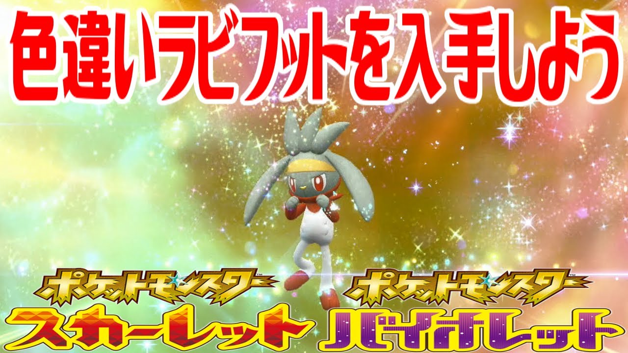 【ポケモンSV】色違いラビフットを入手しよう 進化入手【ポケットモンスター スカーレット・バイオレット ゼロの秘宝 藍の円盤】Pocket Monsters
