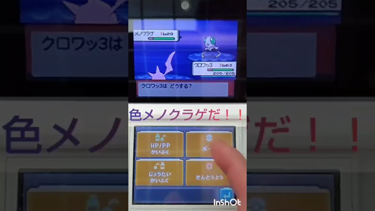 【ポケモンDP】色違い捕獲日記　2日目　メノクラゲ　【PokémonDP】The diary Capturing shiny Pokémon's.　Day2 tentacool　#shorts