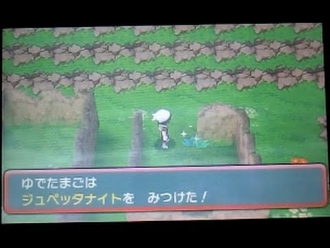 ポケモンオメガルビー メガストーン「ジュペッタナイト」入手 Edwin DuBarrera