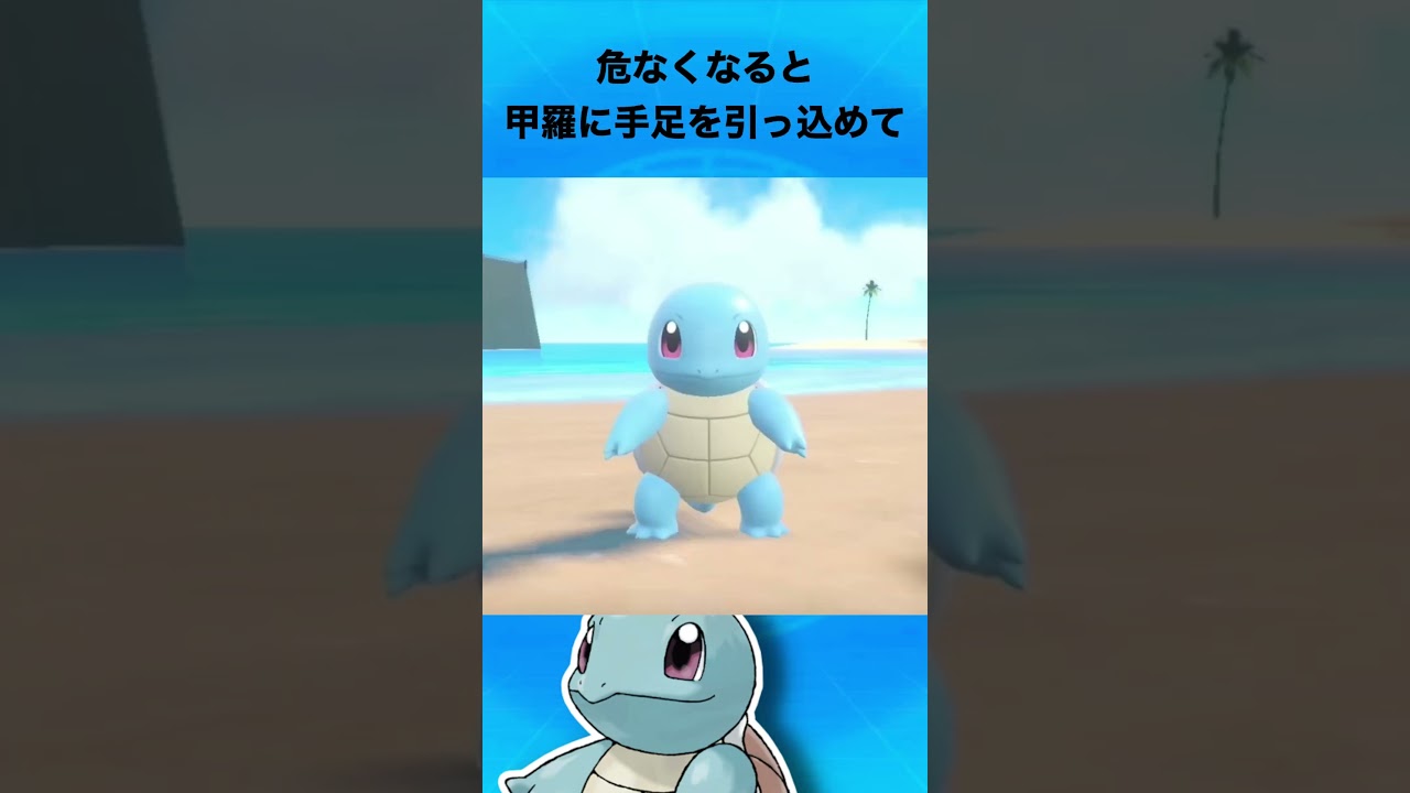 ゼニガメについて #ポケモン #ゼニガメ #御三家