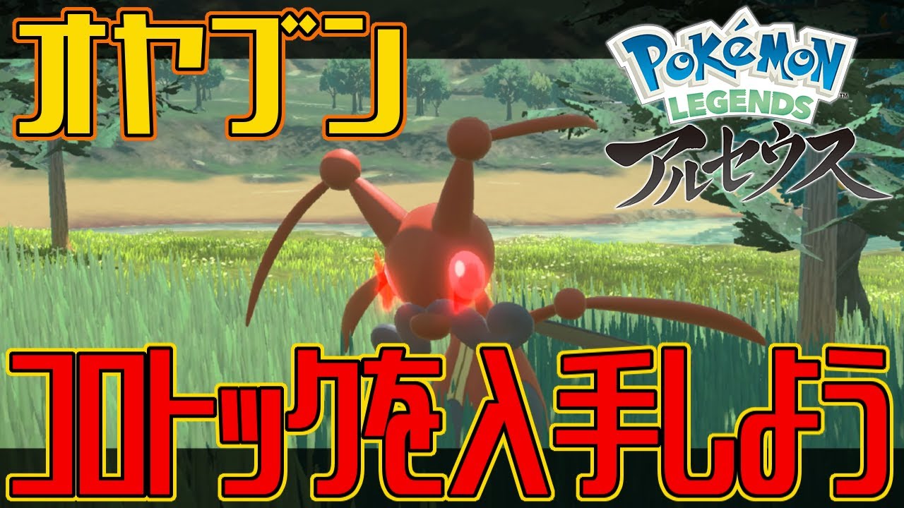 【ポケモンアルセウス】オヤブンのコロトックを入手しよう【Pokémon LEGENDS アルセウス】