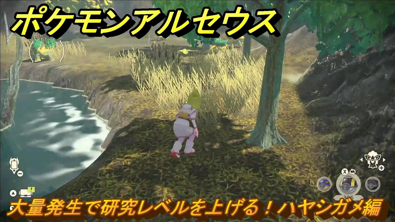 ポケモンアルセウス　大量発生で研究レベルを上げる！ハヤシガメ編　＃５９０　【Pokémon LEGENDS アルセウス】