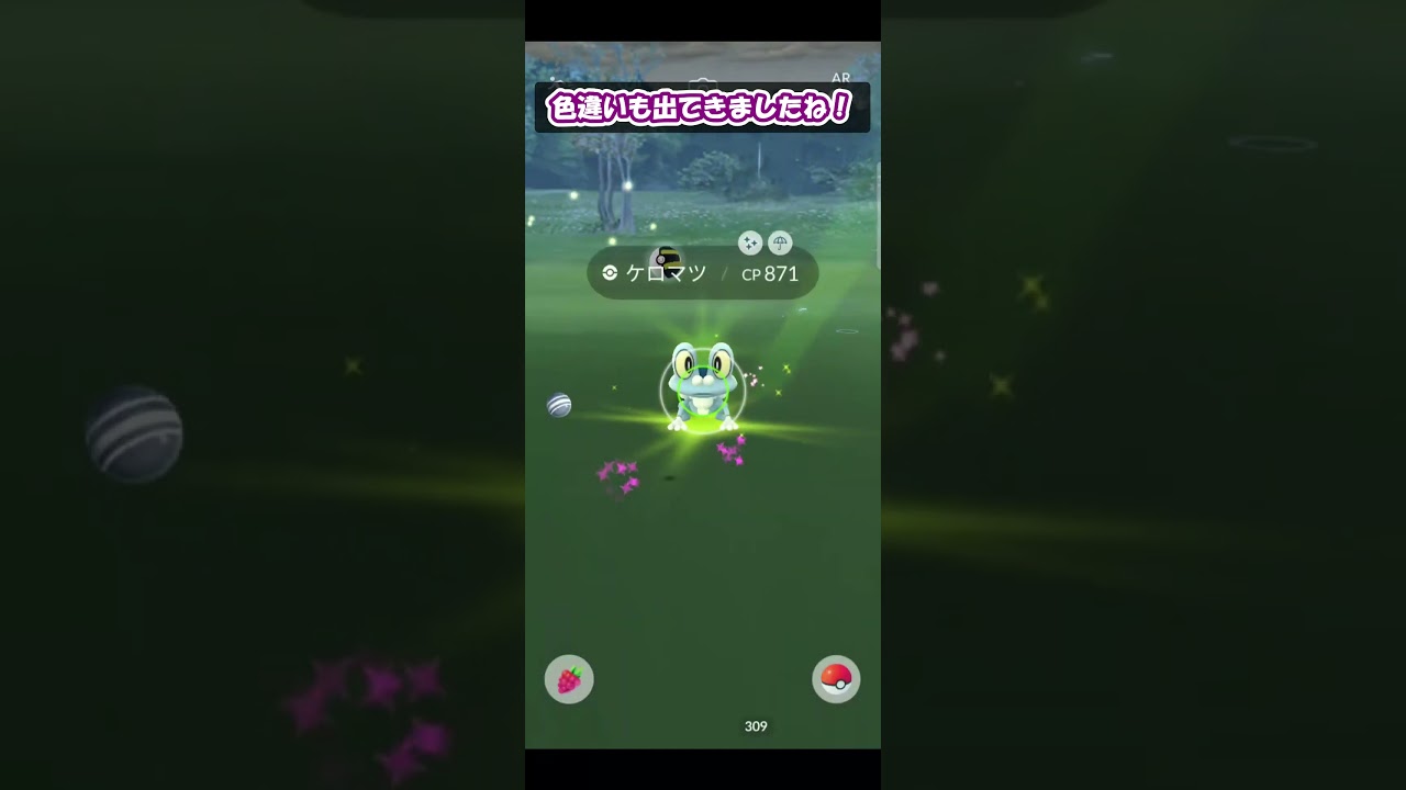 【ポケモンGO】ケロマツのコミュニティデイ！100％の個体をゲット！！ #Shorts