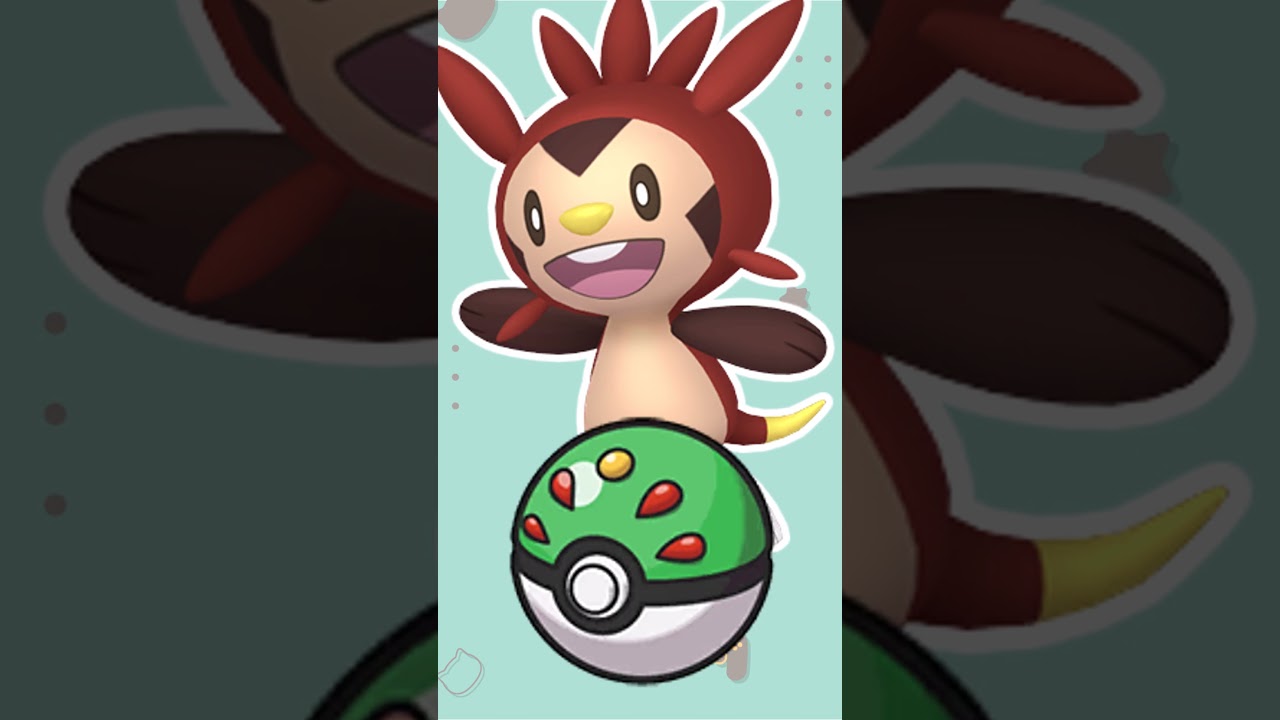 【オシャボ】色違いハリマロンみんなは何ボールに入れる？#shorts #ポケモンsv #ポケモンsv色違い   #pokémon