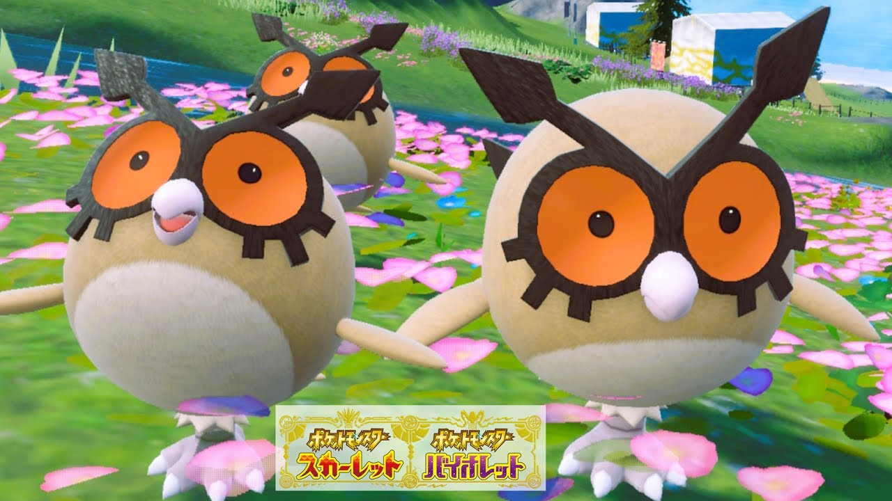 ホーホー６匹に囲まれて癒されピクニック【ポケモンSV】