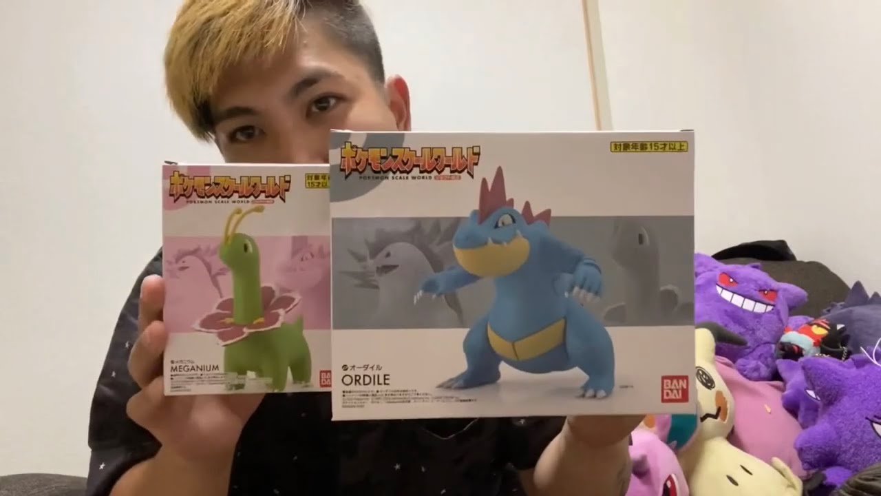 【ポケモンスケールワールド】オーダイル　メガニウム　開封！【ジョウト地方】