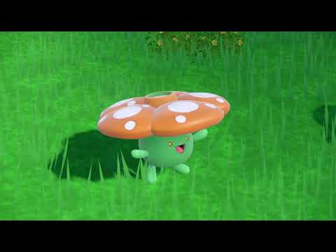 藍の円盤　ラフレシア　色違い