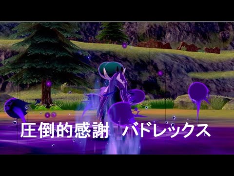 【ポケモンSV】感謝のバドレックス　だらだら配信しますか